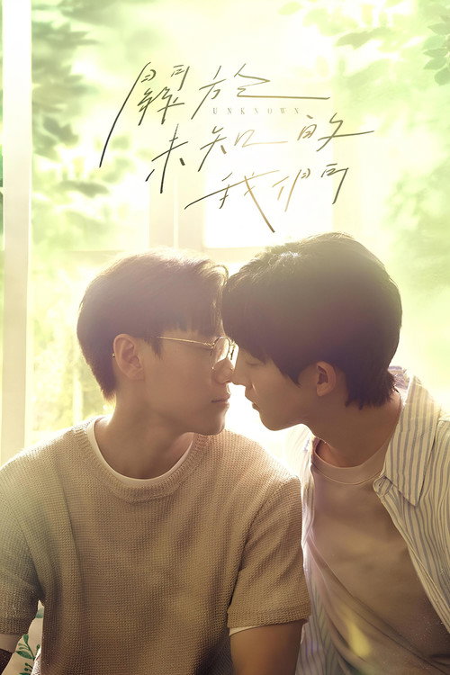 Póster de 關於未知的我們