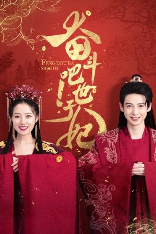 Póster de 奋斗吧！世子妃