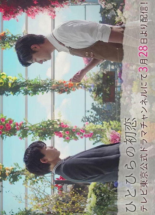 Póster de ひとひらの初恋