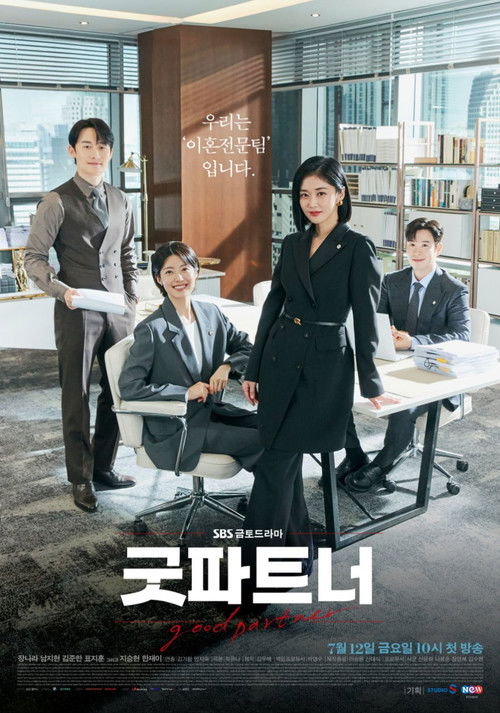 Póster de 굿파트너
