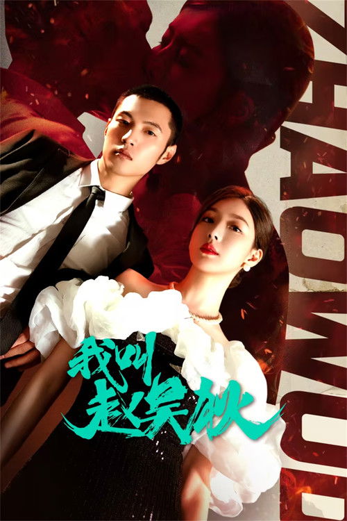 Póster de 我叫赵吴狄
