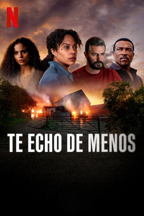 Póster de Me haces falta