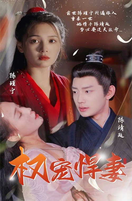 Póster de 权宠悍妻