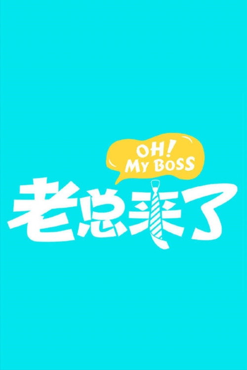 Póster de 老总来了