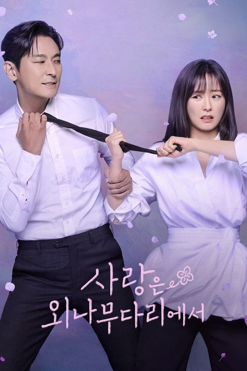 Póster de 사랑은 외나무다리에서