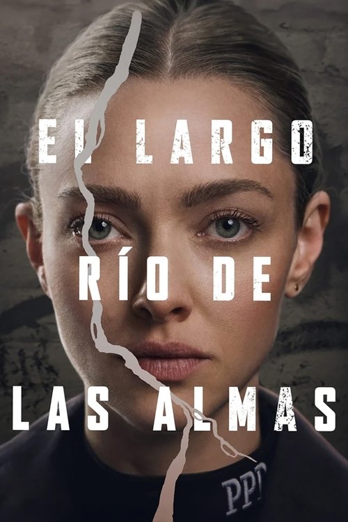 Póster de Long Bright River