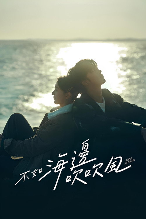 Póster de 不如海邊吹吹風