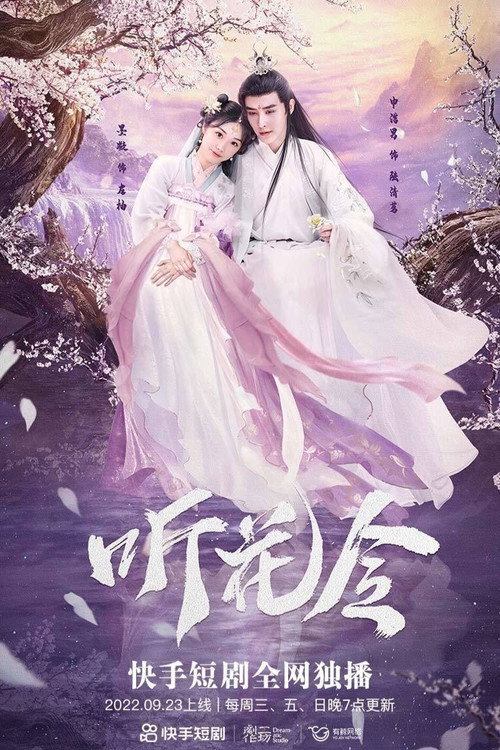 Póster de 听花令