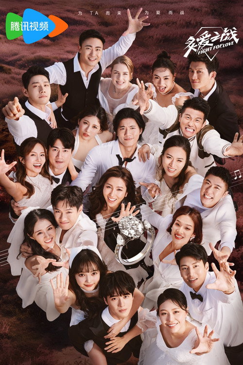 Póster de 炙爱之战