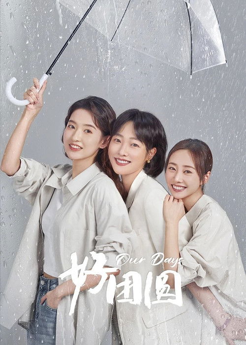 Póster de 好团圆