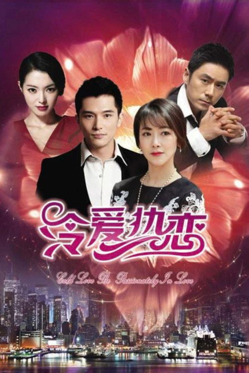 Póster de 冷爱热恋