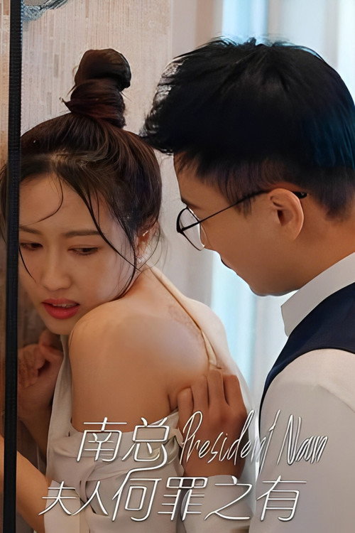 Póster de 南总，夫人何罪之有