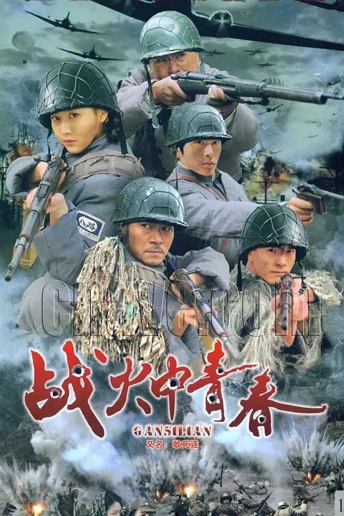 Póster de 战火中青春