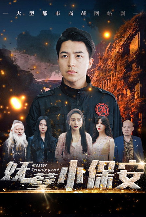 Póster de 妖孽小保安