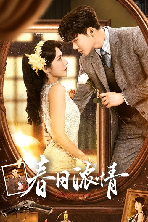 Póster de 春日浓情