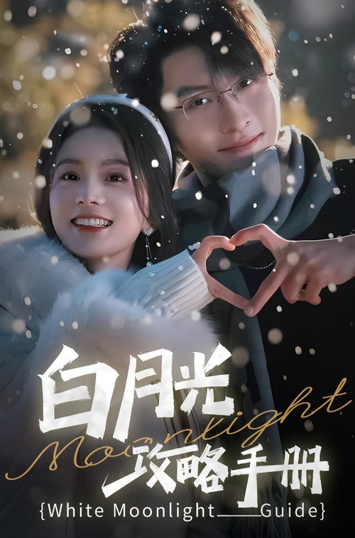 Póster de 白月光攻略手册