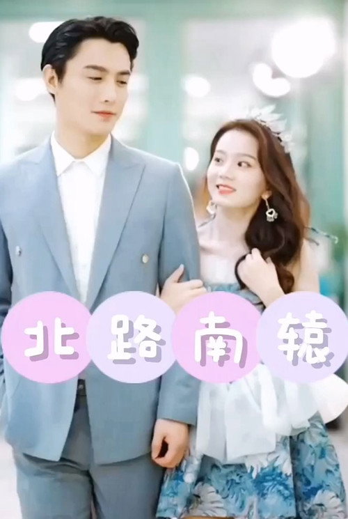 Póster de 北路南辕
