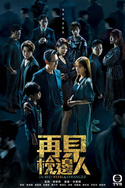Póster de 再見 . 枕邊人