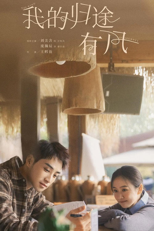 Póster de 我的归途有风