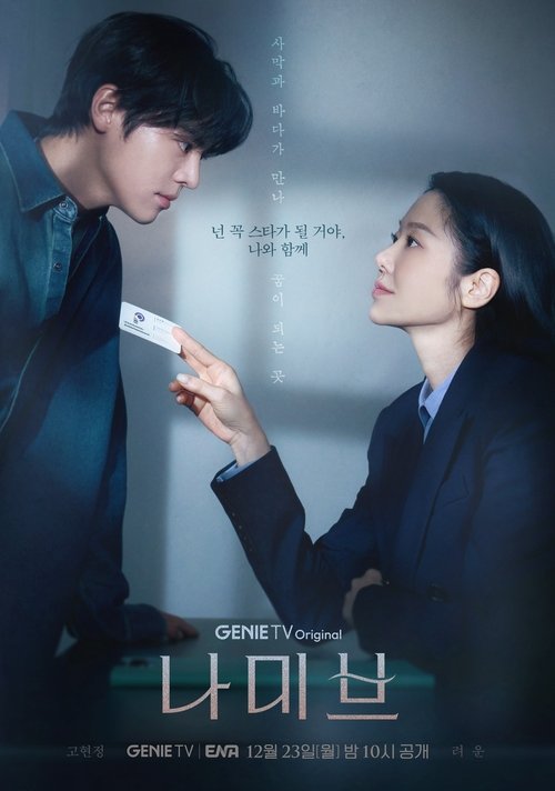 Póster de 나미브