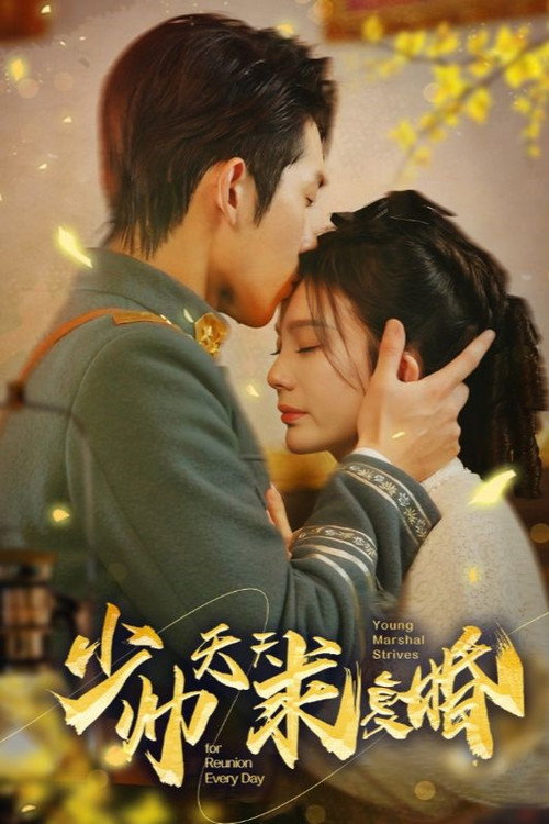 Póster de 少帅天天求复婚