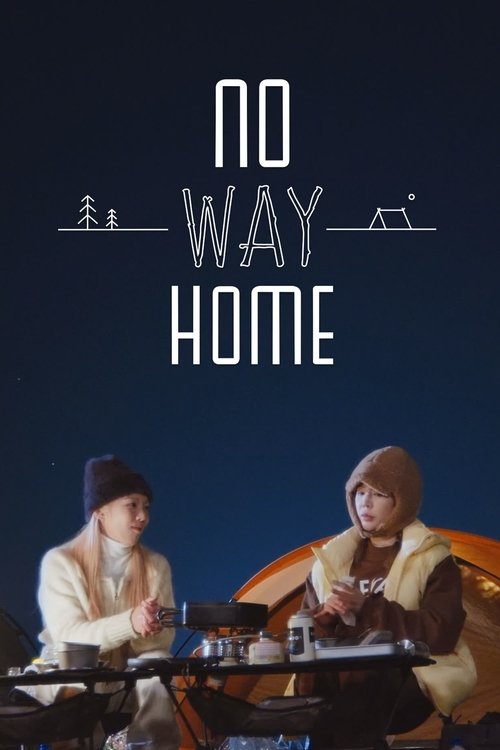Póster de NO WAY HOME