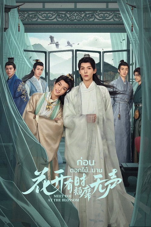 Póster de 花开有时颓靡无声
