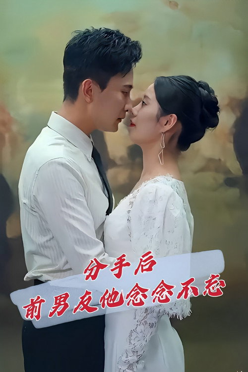 Póster de 分手后前男友他念念不忘