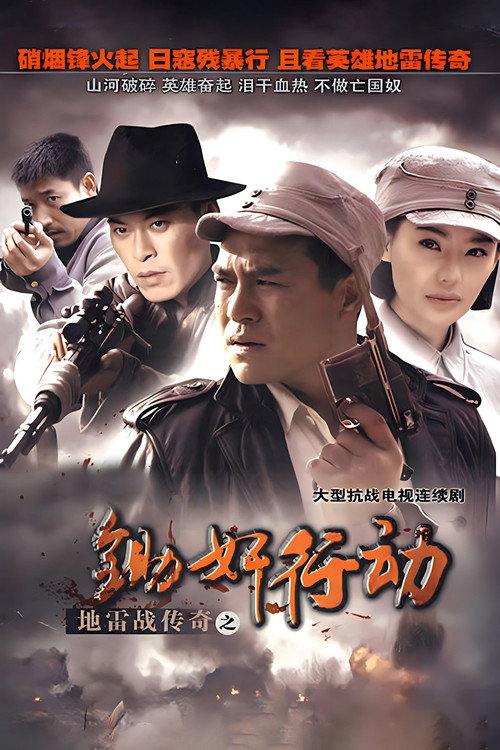 Póster de 地雷战传奇之锄奸行动