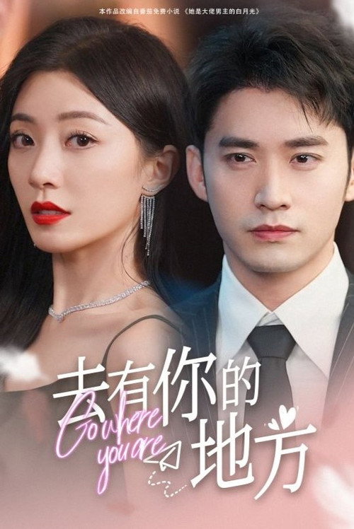 Póster de 去有你的地方