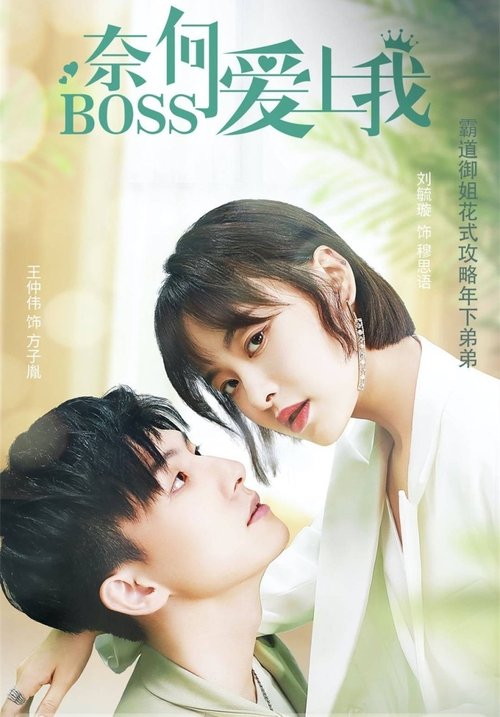 Póster de 奈何BOSS爱上我