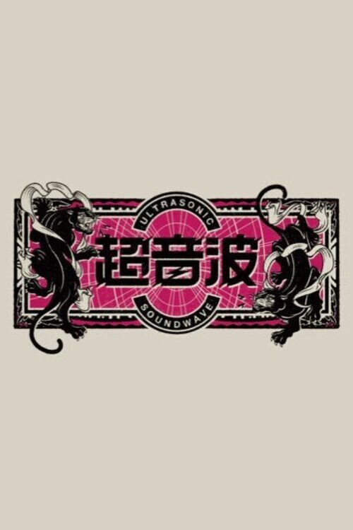 Póster de 超音波