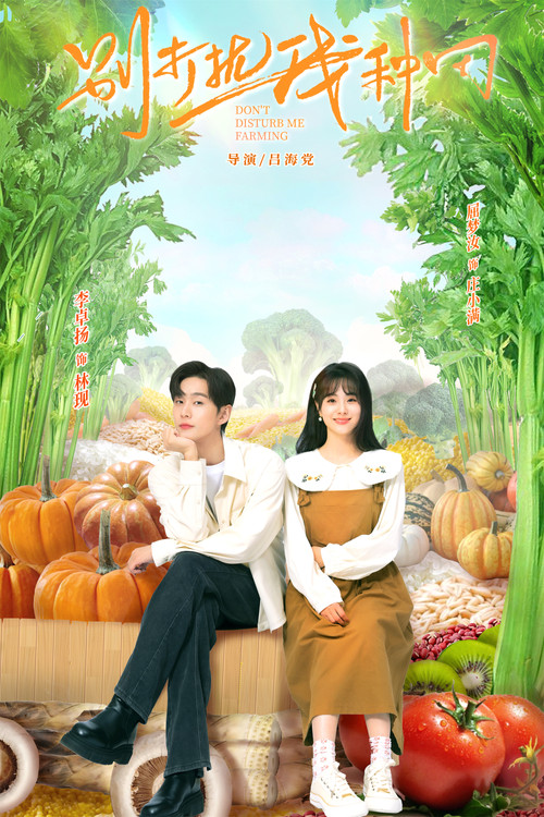 Póster de 别打扰我种田