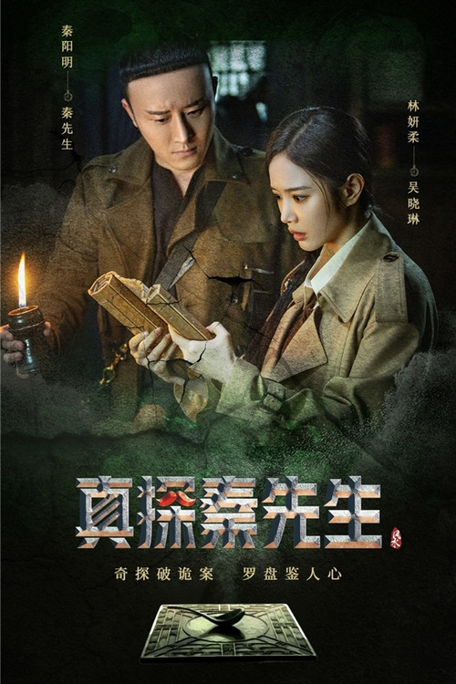 Póster de 真探秦先生