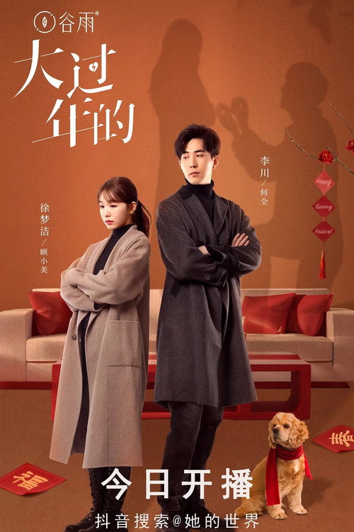 Póster de 大过年的