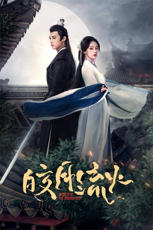 Póster de 皎月流火