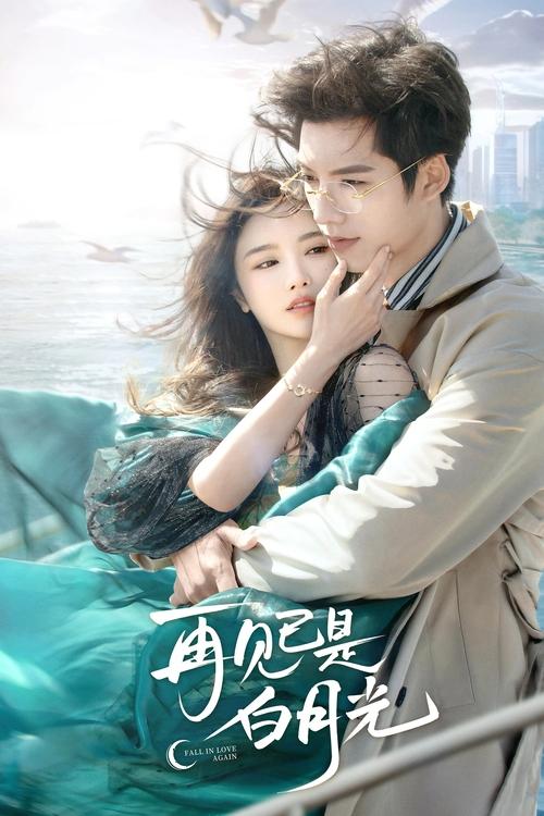 Póster de 再见已是白月光