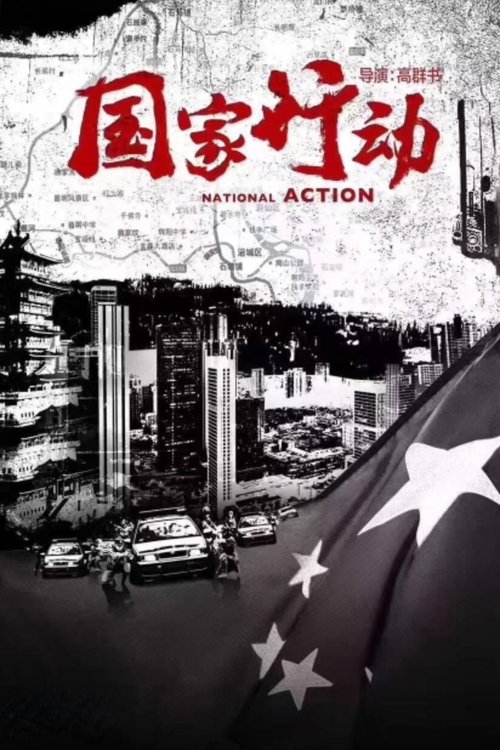 Póster de 国家行动