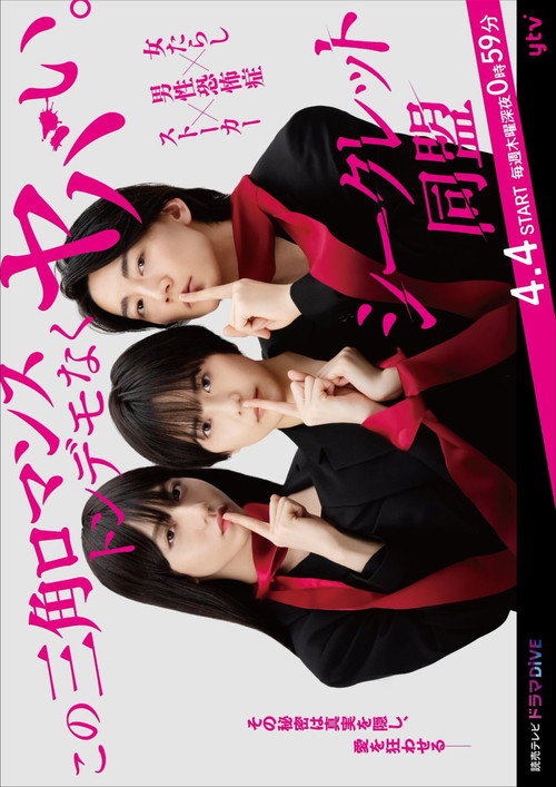 Póster de シークレット同盟