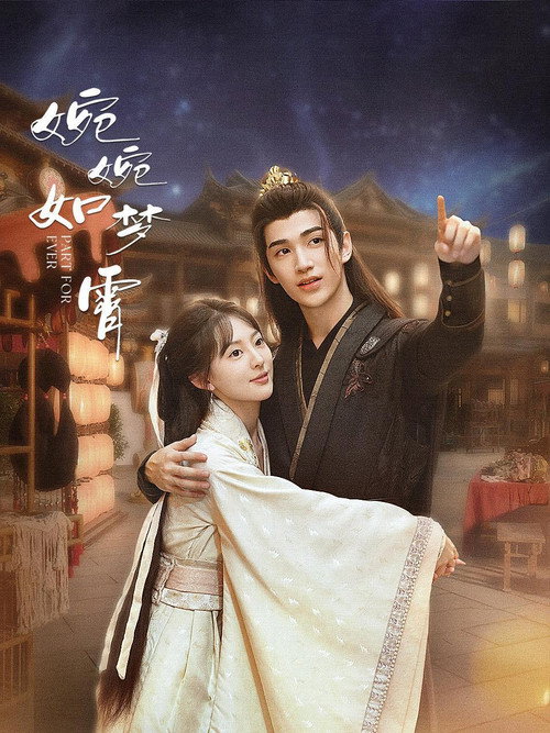 Póster de 婉婉如梦霄