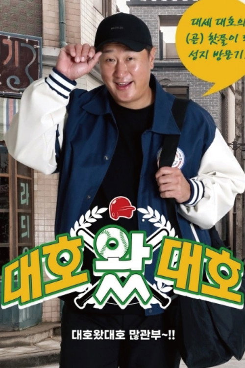Póster de 대호 왔 대호