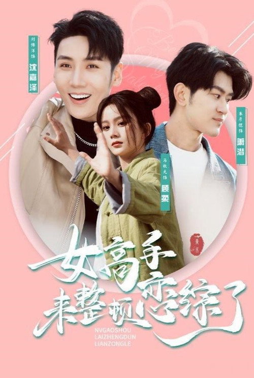 Póster de 女高手来整顿恋综了