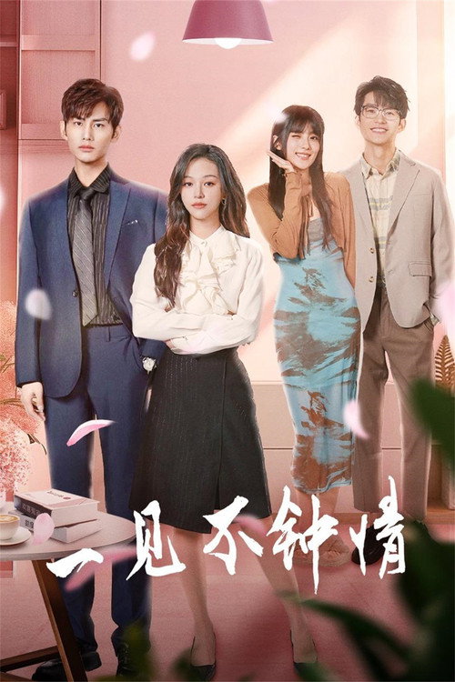 Póster de 一见不钟情