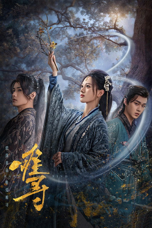 Póster de 难寻