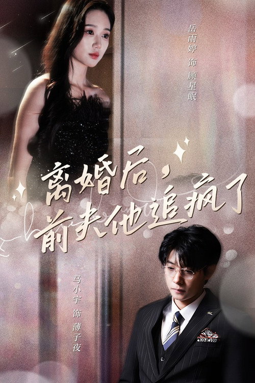 Póster de 离婚后，前夫他追疯了