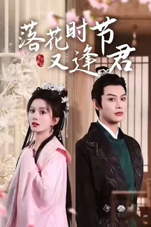 Póster de 落花时节又逢君