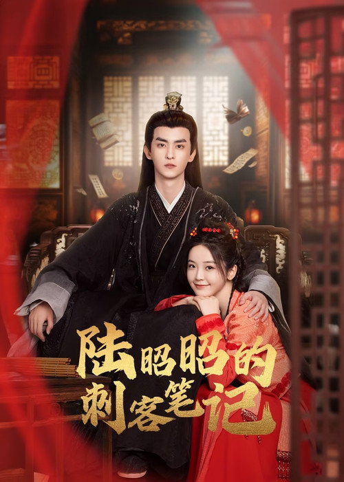 Póster de 陆昭昭的刺客笔记