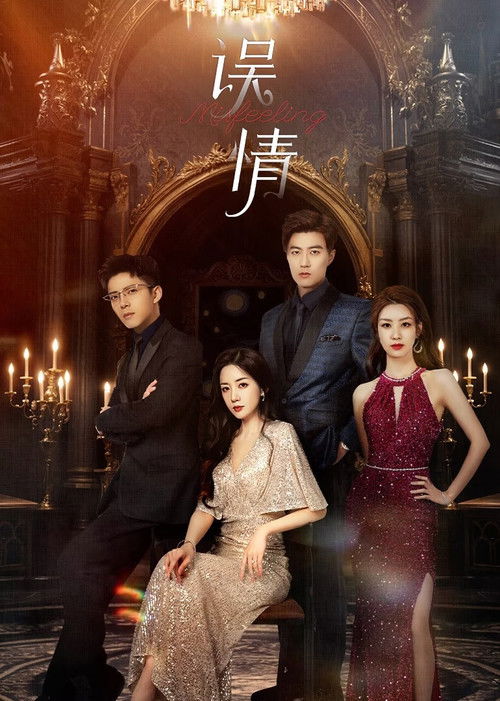 Póster de 误情