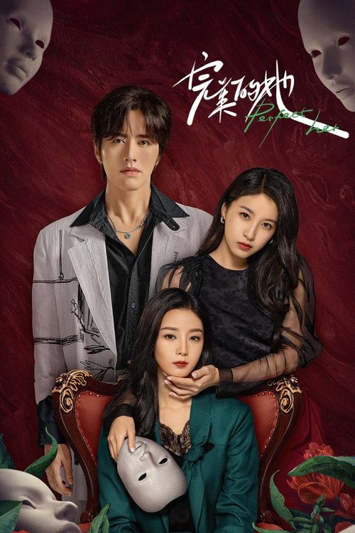 Póster de 完美的她