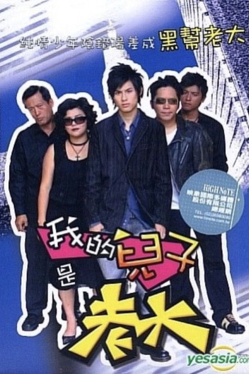 Póster de 我的儿子是老大